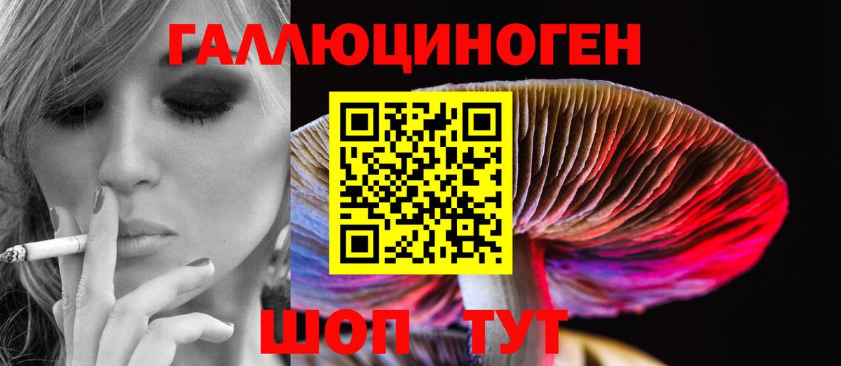 Наро-Фоминск  Галлюциногенные грибы MAGIC MUSHROOMS  Вход с VPN  Псилоцибиновые грибы прущие грибы 